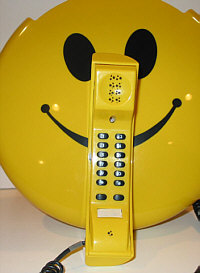 smile2.jpg (16147 bytes)